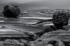 Durand Pascale, mastodontes, monochrome, paysages