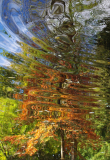 Durand Pascale, onde, couleur, nature