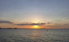 Hervieu Isabelle, Saint Malo 2, couleur, paysages