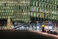 1_MEDARD_Luc-Harpa