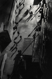 Benguigui Olivier, Fourmis, monochrome, street