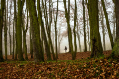 EYNARD Michelle, Dans le parc en automne, couleur, paysages