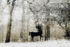 MEDARD_Luc-Centaure