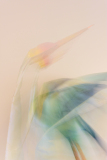 Le_Bourhis_Josette-cigogne