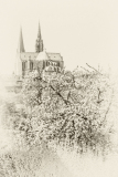 conan serge Chartres monochrome créative