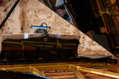 ZINDY Gilles La Pianiste couleur portrait