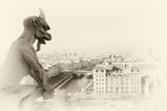 conan serge Notre Dame monochrome créative