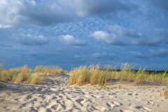 AUTHIE Anne-Lise, Les oyats, couleur, paysages