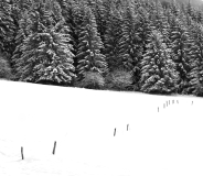 WINTERHALTER-François, Pointillés-dans-la-poudreuse, monochrome, paysages