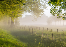 Un matin de printemps