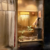 DARNAULT Assunta, Chats en vitrine, couleur, street