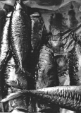 Durand Pascale, Durand_Pascale-poissons, monochrome, street