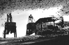 Durand Pascale, Durand_Pascale-reflet grues, monochrome, paysages