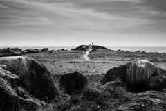 VICARI Alain, la vigie, monochrome, paysages