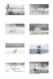 1_Meicler-Philippe-Hokkaido