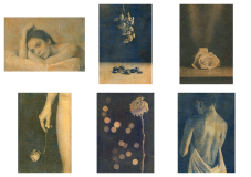 COUDUN Jean-Luc, Or du vivant, couleur, créative