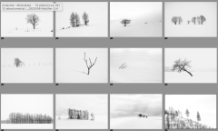 MEICLER Ghislaine, Forces de la nature, monochrome, paysages