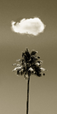 Coudun Jean-Luc, Le nuage, monochrome, minimaliste