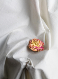 Coudun jean-Luc, Fleur sur drap, couleur, minimaliste