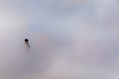 1_Le_Bourhis_Josette-dans-le-brouillard