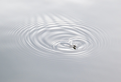 AUTHIE Anne-Lise, Patinage sur eau, monochrome, nature