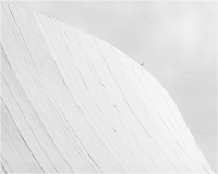 Bongiorno Chantal, Le Goeland, monochrome, architecture