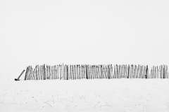 CHAPEL Martine, La barriere, monochrome, paysages