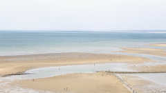 DARNAULT-Assunta-Bord_de_mer