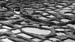 DUBIEF Monique, Marais salant, couleur, paysages