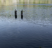 DUBIEF Monique, les gardiens du lac, couleur, paysages