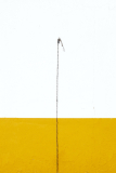 Robin Pavlovsky_Sylvie, El-Rocio, couleur, street