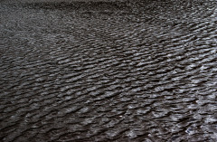 Sebbag Pierre, Sebbag_Pierre_Fetch, couleur, paysages