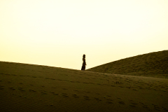 GALIMARD JD, GDE CANARIE, couleur, créative