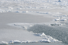 GAUBIN SYLVIE, Degel, couleur, paysages