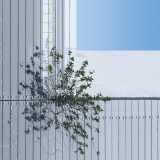 Lavelle Frédéric, Minimalisme_12, couleur, architecture