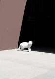 Lavelle frédéric, Minimaliste_1, couleur, minimaliste