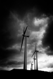 MEICLER_Ghislaine, Vive le vent, monochrome, architecture