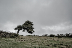 MEICLER_Ghislaine, Puissance, couleur, nature