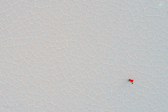 MEICLER PHILIPPZ, DE DESSUS, couleur, nature