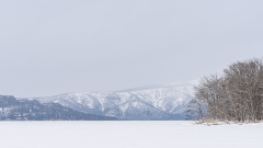 Meicler_philippe-paysage-2