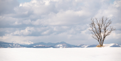 Meicler_philippe-paysage
