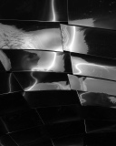 RILAT N, Carapace, monochrome, créative