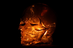 RILAT N, Crane, couleur, créative