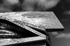 RILAT N, Philharmonie 4, monochrome, architecture