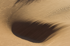 REMOADI Albert, Oeuvre éphémère, couleur, nature