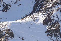 REMOADI Albert, Sur mes traces, couleur, animalier