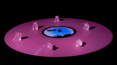 RILA N, Animals, couleur, créative