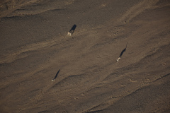 RIPOLL, ombres, couleur, nature