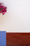 ROBIN Sylvie, Bougainvillier, couleur, minimaliste