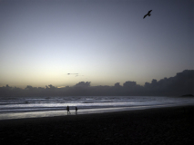 WINTERHALTER François, Sunset bird, couleur, paysages